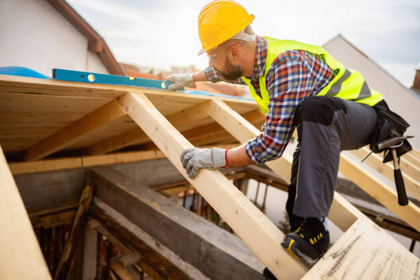 Best Roof Maintenance Services  in Blakely, GA