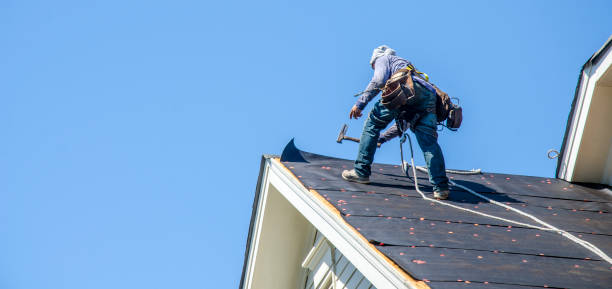 Best Storm Damage Roof Repair  in Blakely, GA